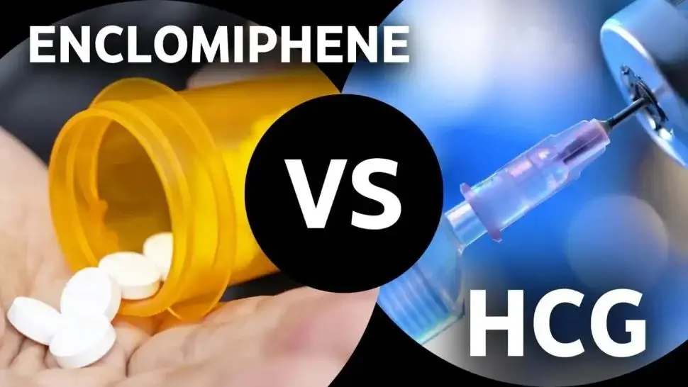 enclomiphene vs clomid vs hcg